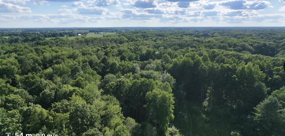 Woods Road Sidney, MI 48885
