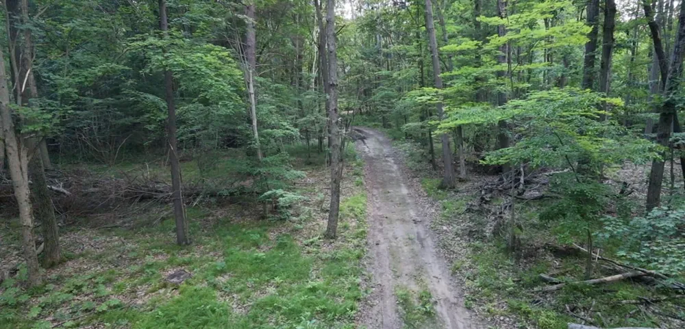 Woods Road Sidney, MI 48885