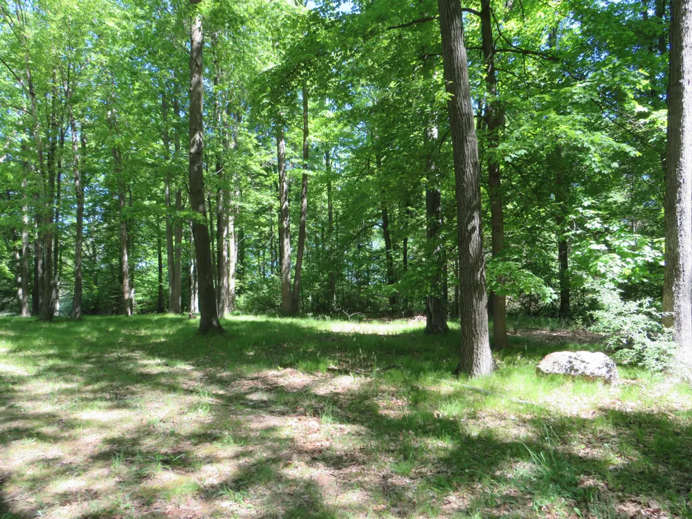 11000 Vickeryville Road Edmore, MI 48829