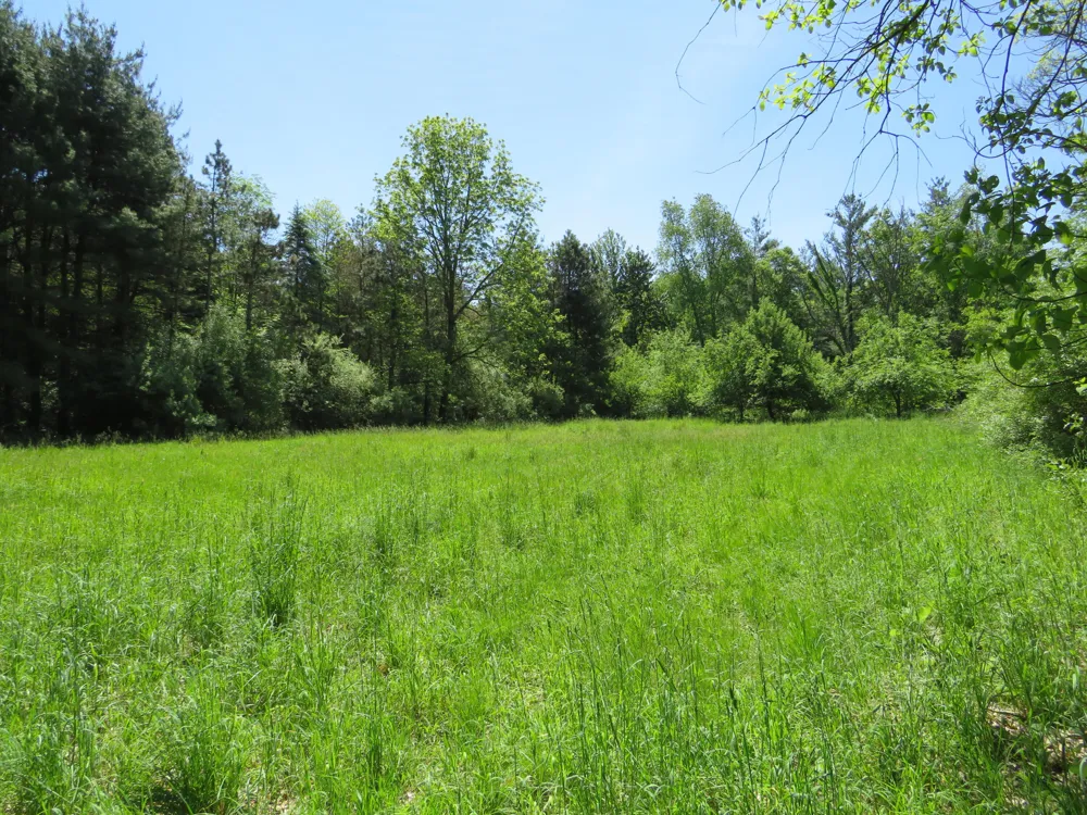 11000 Vickeryville Road Edmore, MI 48829