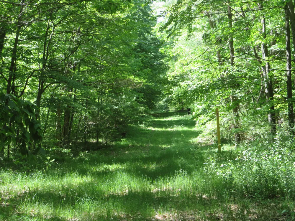 11000 Vickeryville Road Edmore, MI 48829