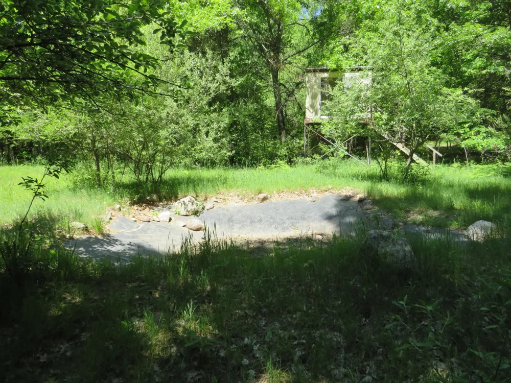 11000 Vickeryville Road Edmore, MI 48829