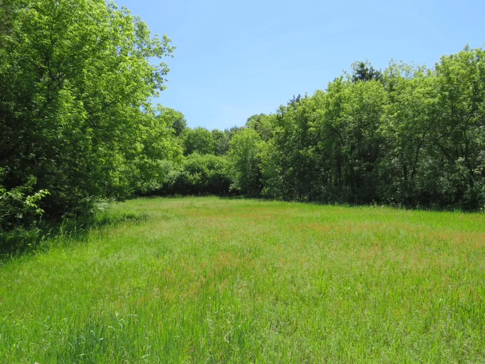11000 Vickeryville Road Edmore, MI 48829