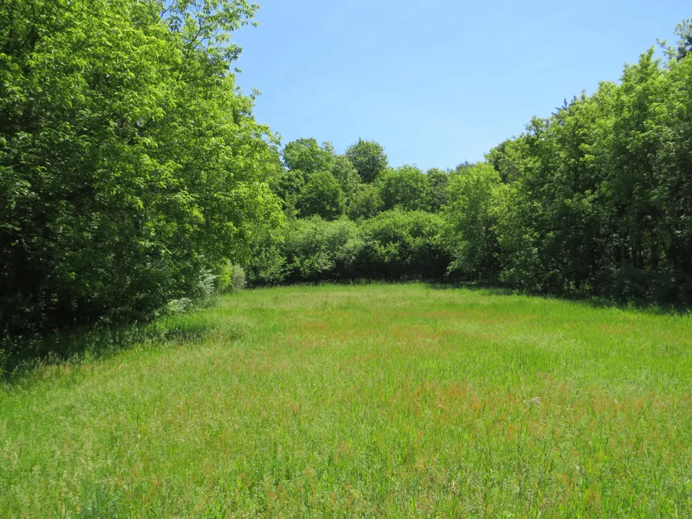 11000 Vickeryville Road Edmore, MI 48829