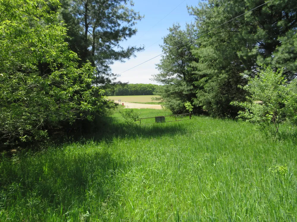 11000 Vickeryville Road Edmore, MI 48829