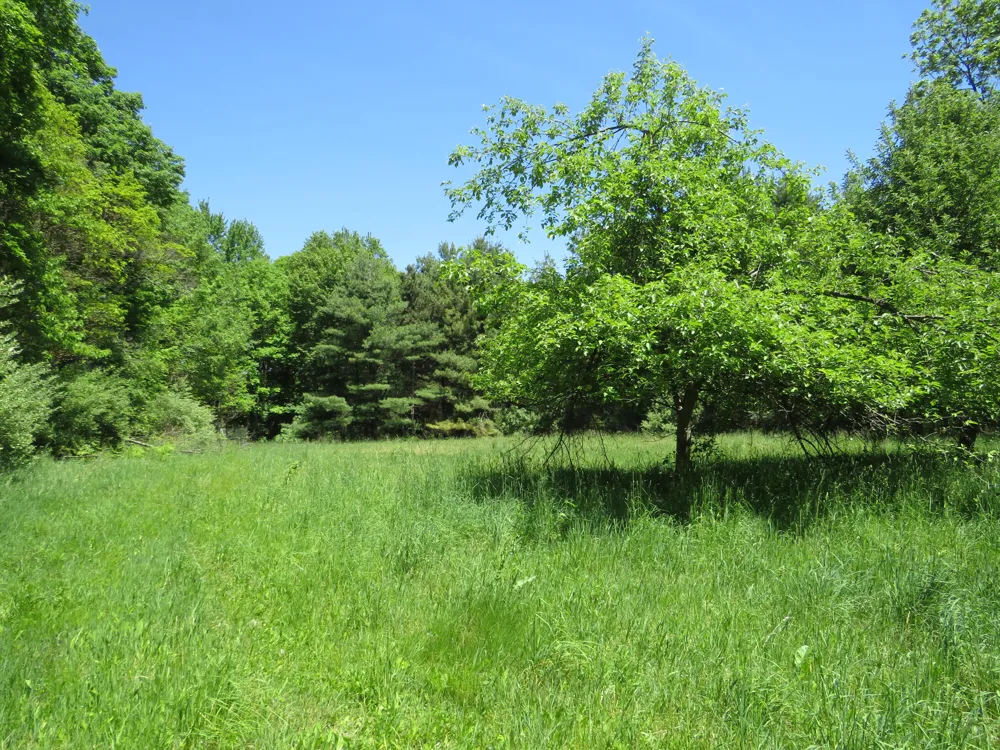 11000 Vickeryville Road Edmore, MI 48829