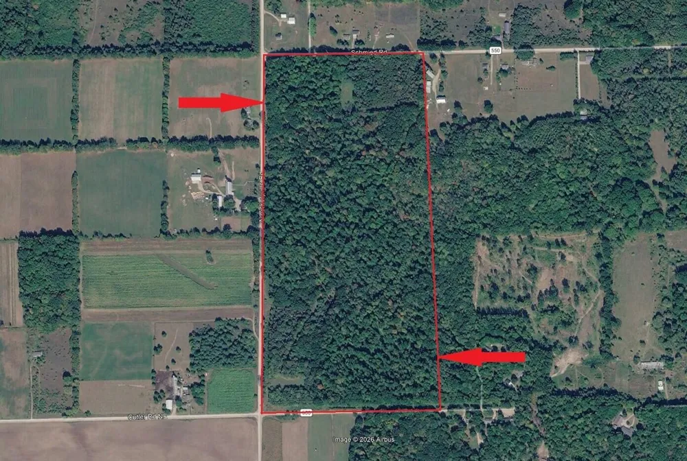 11000 Vickeryville Road Edmore, MI 48829