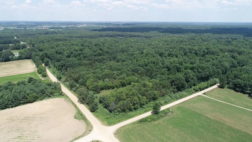 11000 Vickeryville Road Edmore, MI 48829