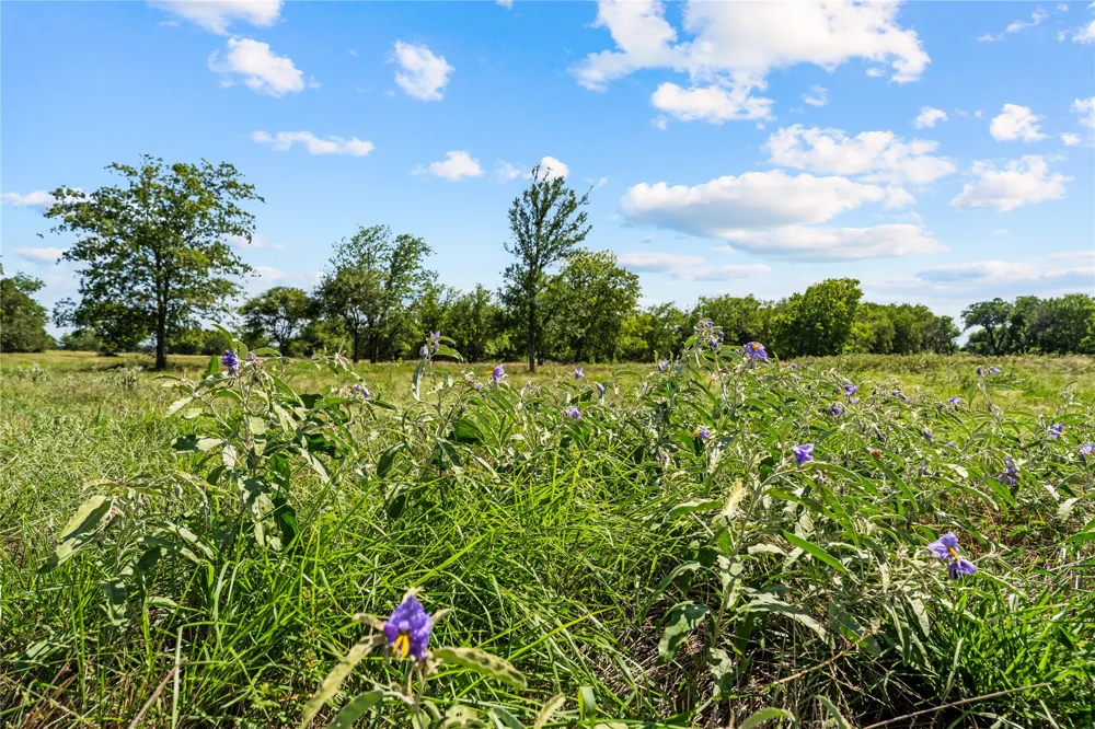 Lakewood Drive Whitney, TX 76692