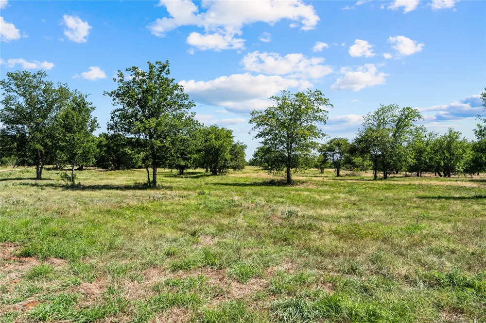 Lakewood Drive Whitney, TX 76692