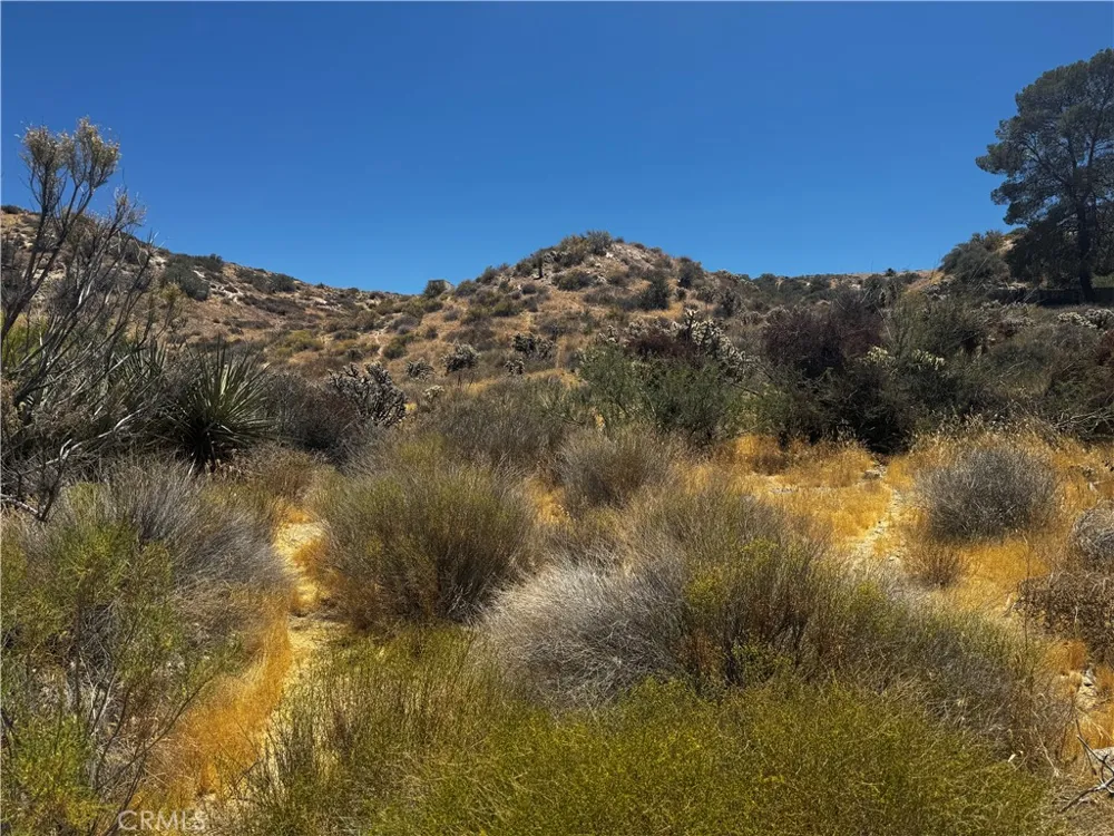54025 Ridge Yucca Valley, CA 92284