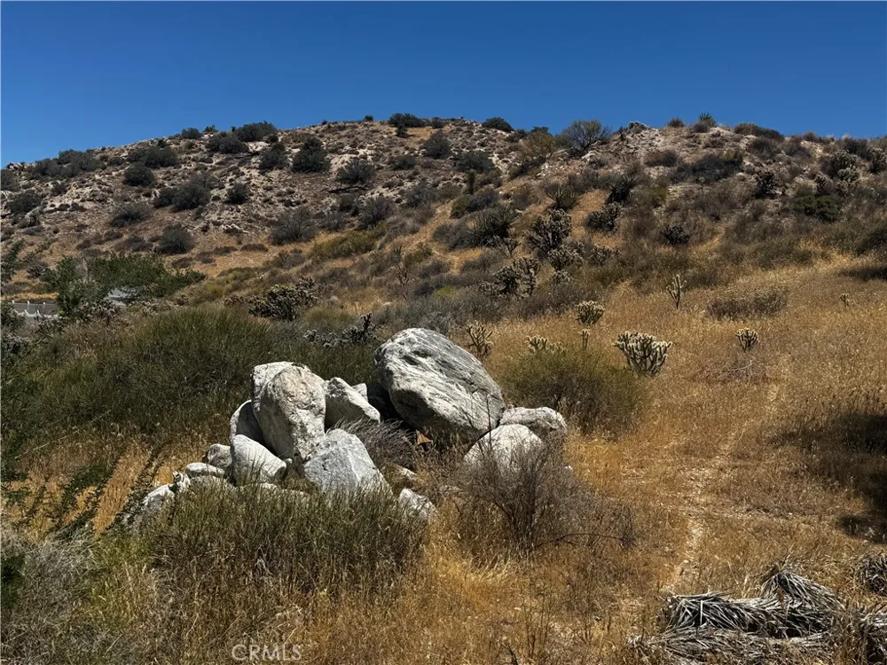 54025 Ridge Yucca Valley, CA 92284