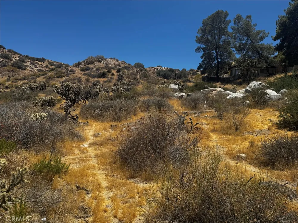54025 Ridge Yucca Valley, CA 92284