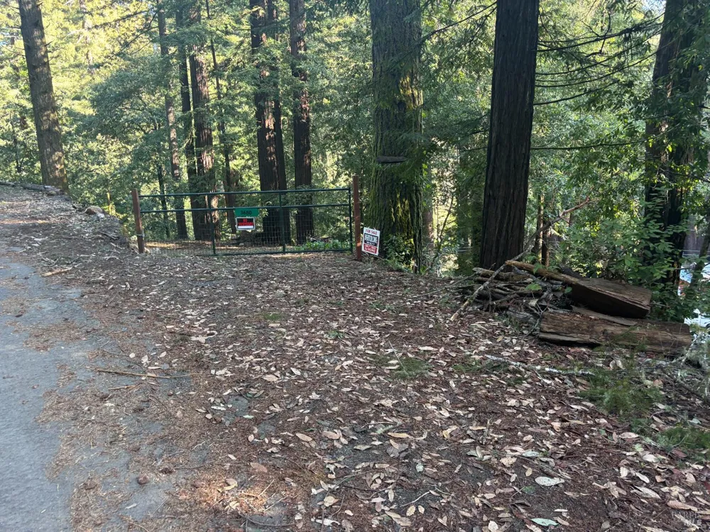 3665 Cazadero Highway Cazadero, CA 95421