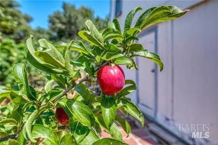 9175 Glenhaven Drive Glenhaven, CA 95443