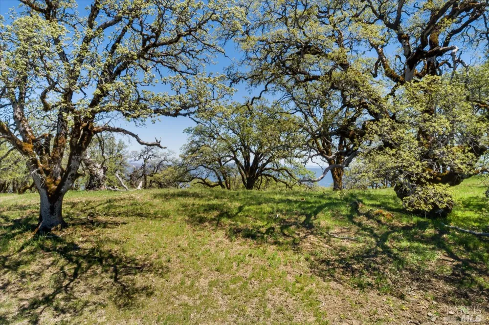 6870 County Road 110 Hopland, CA 95449