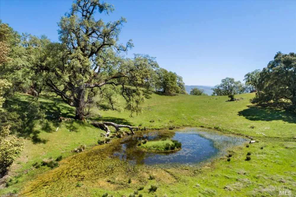 6870 County Road 110 Hopland, CA 95449