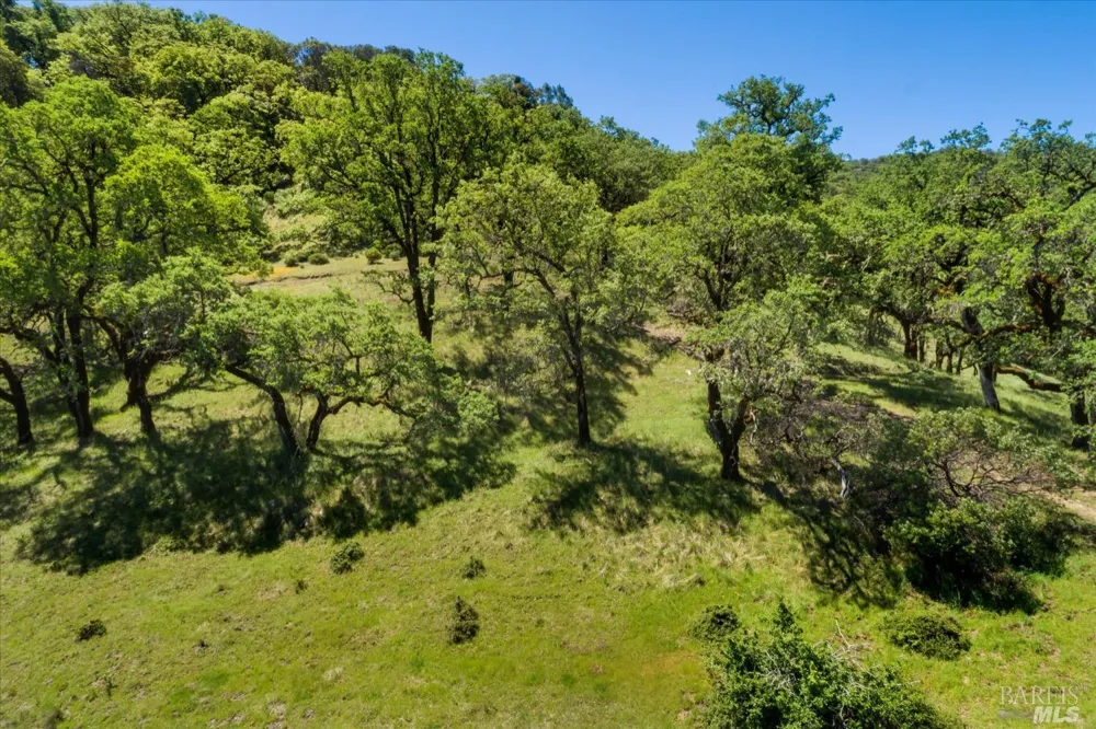 6870 County Road 110 Hopland, CA 95449