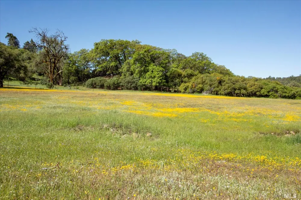 6870 County Road 110 Hopland, CA 95449