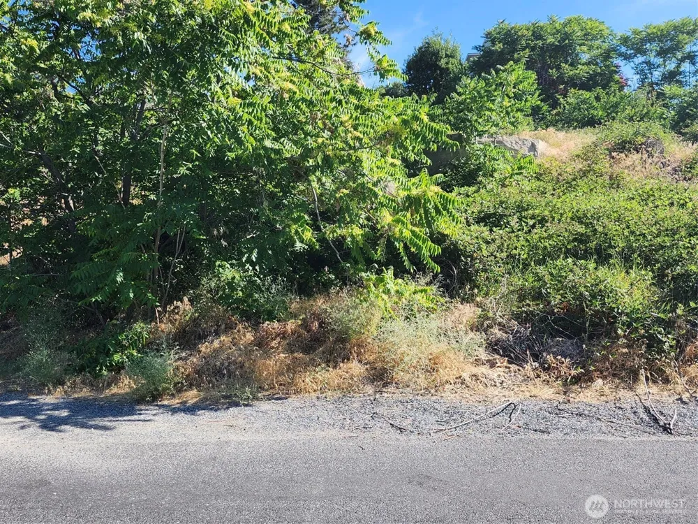 130 Olive Avenue Manson, WA 98831