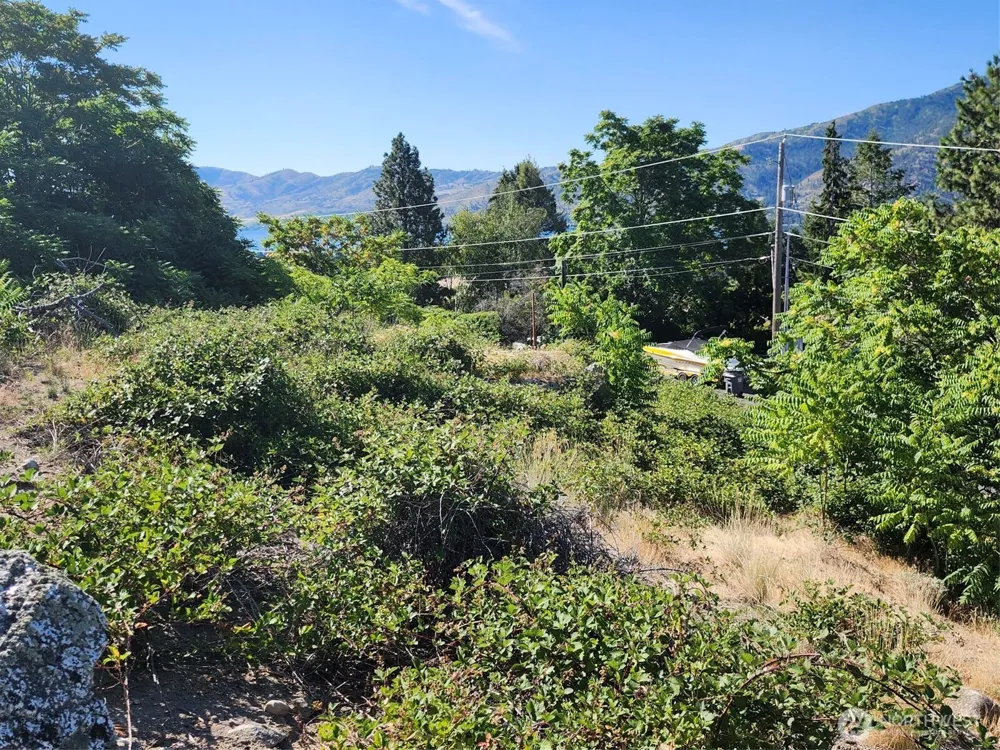 130 Olive Avenue Manson, WA 98831