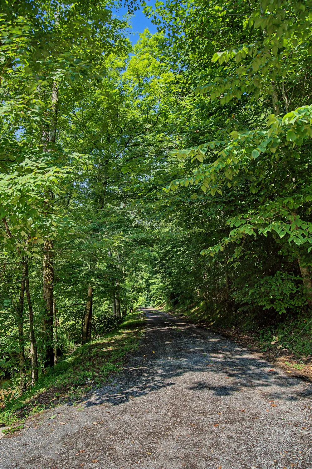 1505 Dark Hollow Rd Lafayette, TN 37083