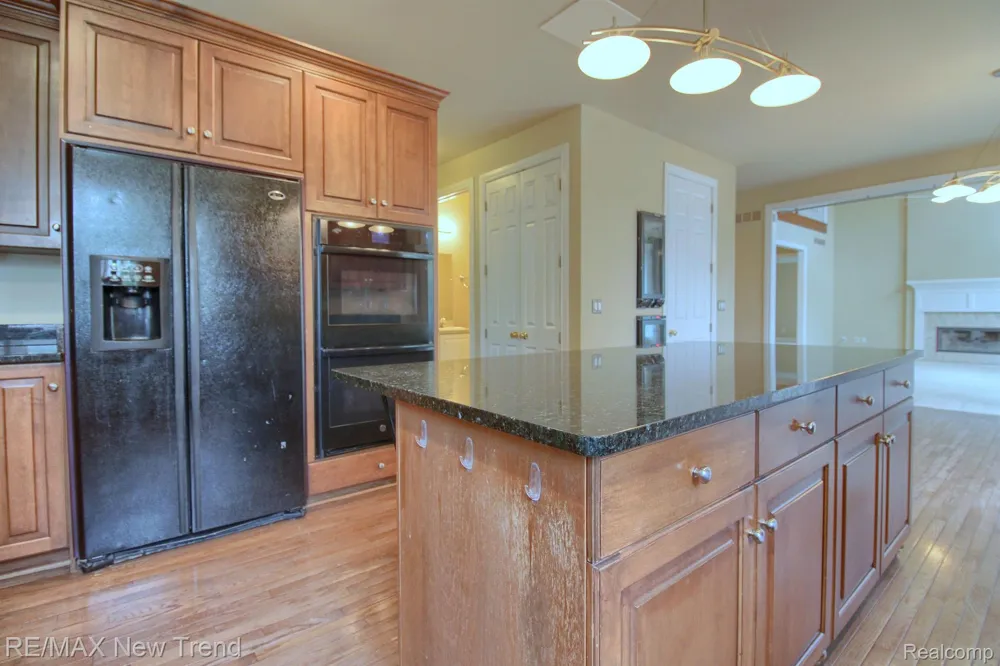 17173 WILLOW RIDGE COURT Northville Township, MI 48168