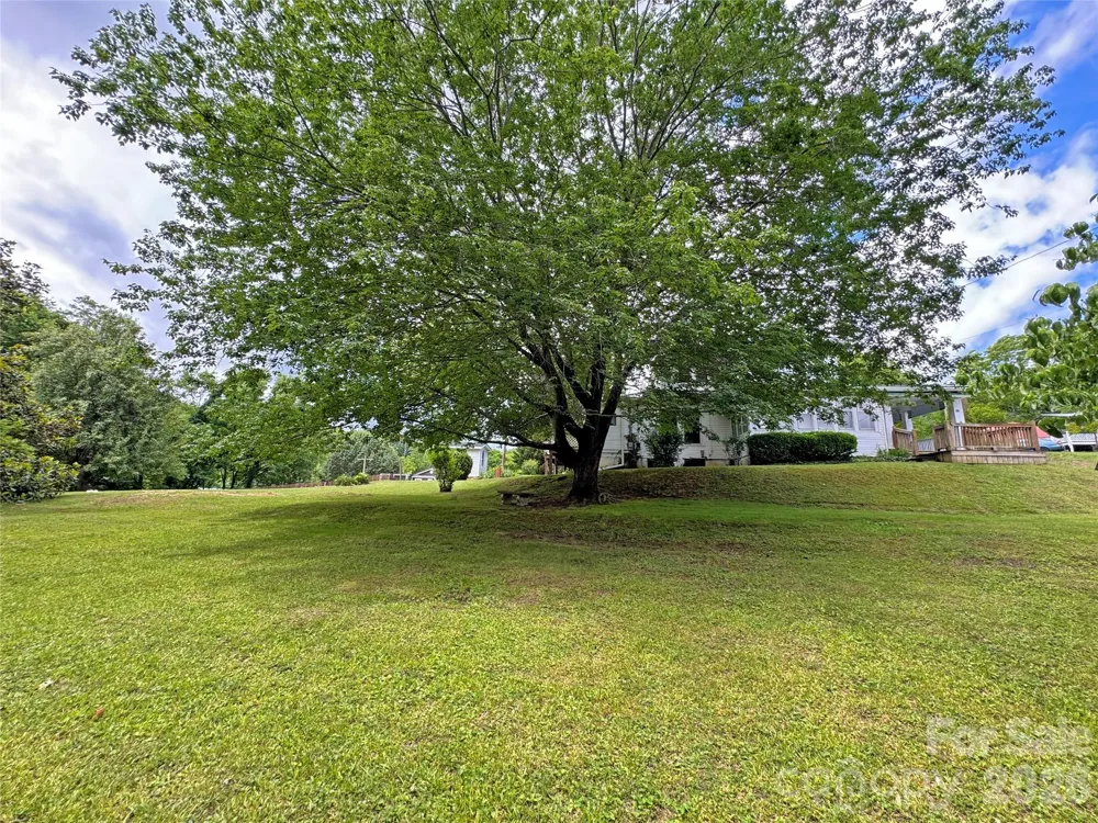 82 Hill Street Hot Springs, NC 28743