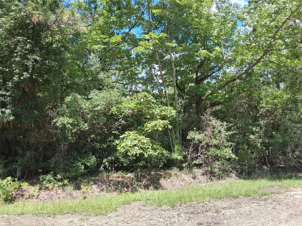 15 Sumac Drive Brookeland, TX 75931