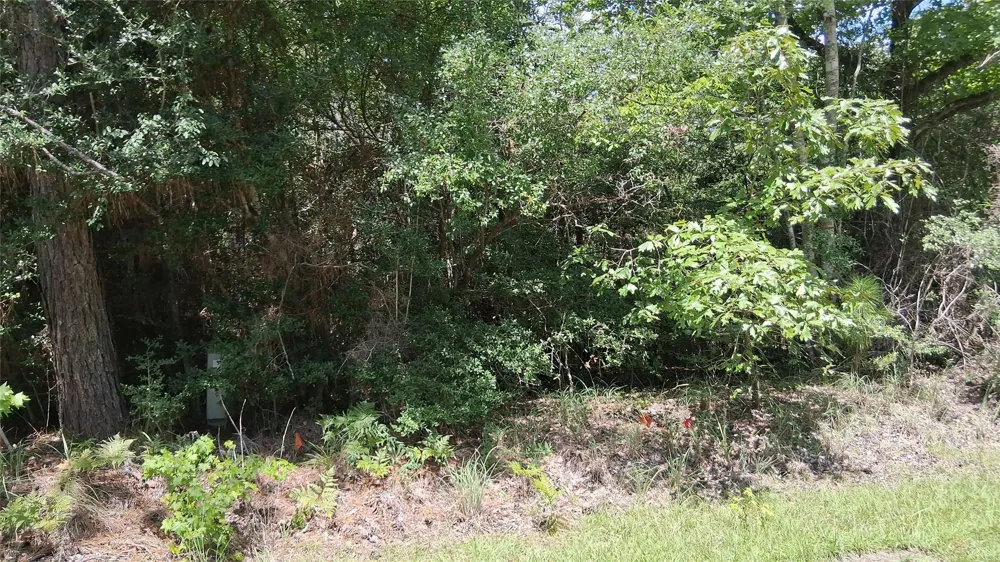 15 Sumac Drive Brookeland, TX 75931
