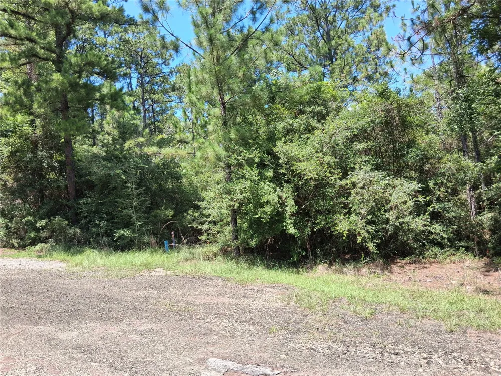 15 Sumac Drive Brookeland, TX 75931