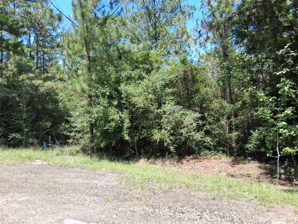 15 Sumac Drive Brookeland, TX 75931