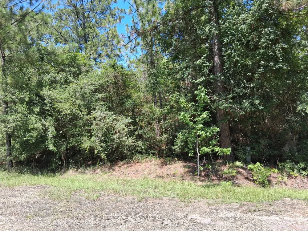 15 Sumac Drive Brookeland, TX 75931