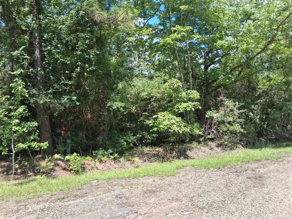 15 Sumac Drive Brookeland, TX 75931