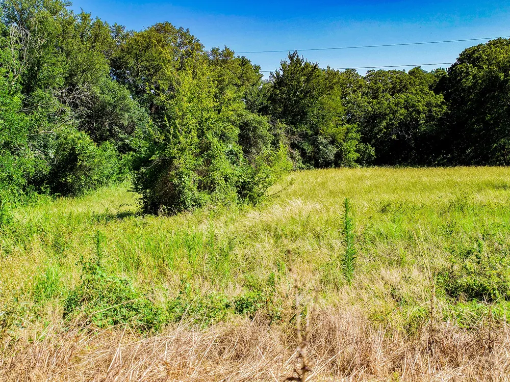 Hwy 36 Gustine, TX 76455
