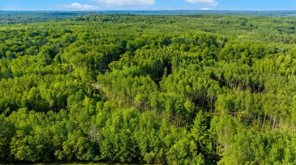TBD Lot 2 Walker, MN 56484