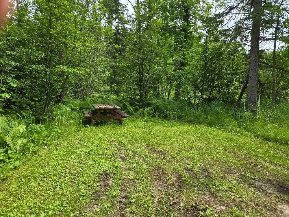 TBD S Little Boy Drive NE Longville, MN 56655