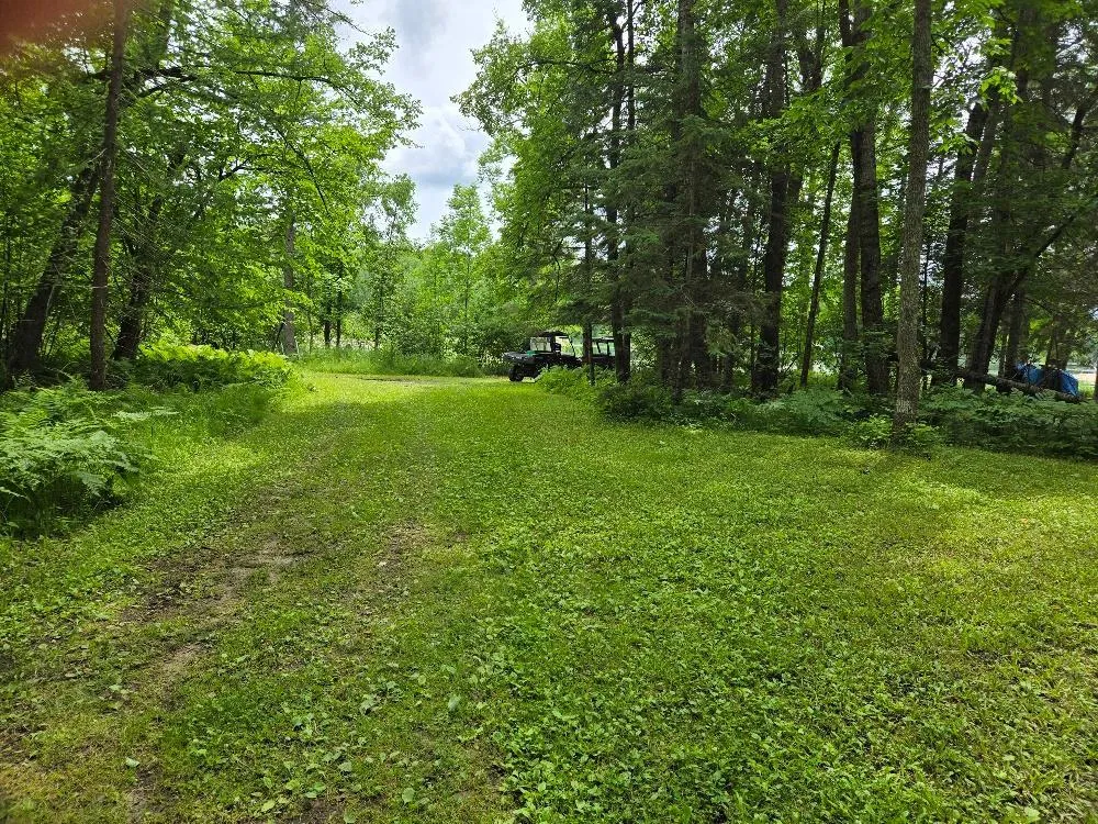 TBD S Little Boy Drive NE Longville, MN 56655