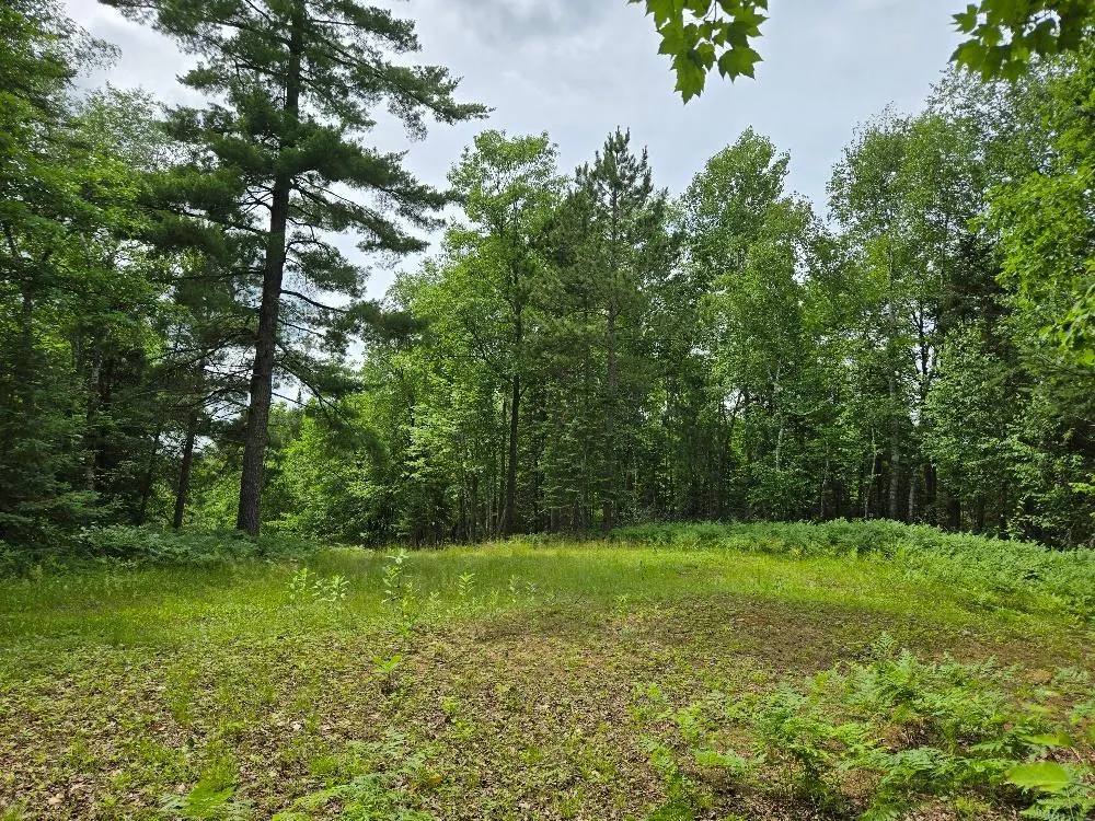 TBD S Little Boy Drive NE Longville, MN 56655