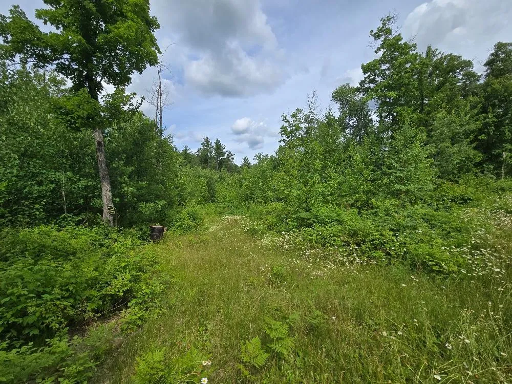 TBD S Little Boy Drive NE Longville, MN 56655