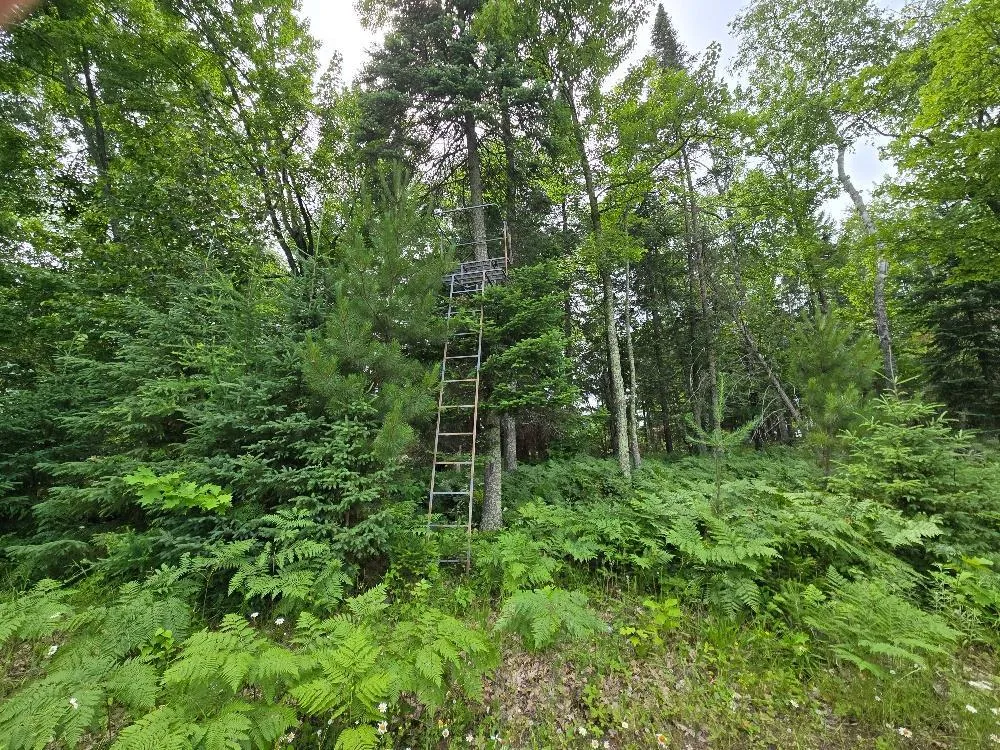 TBD S Little Boy Drive NE Longville, MN 56655