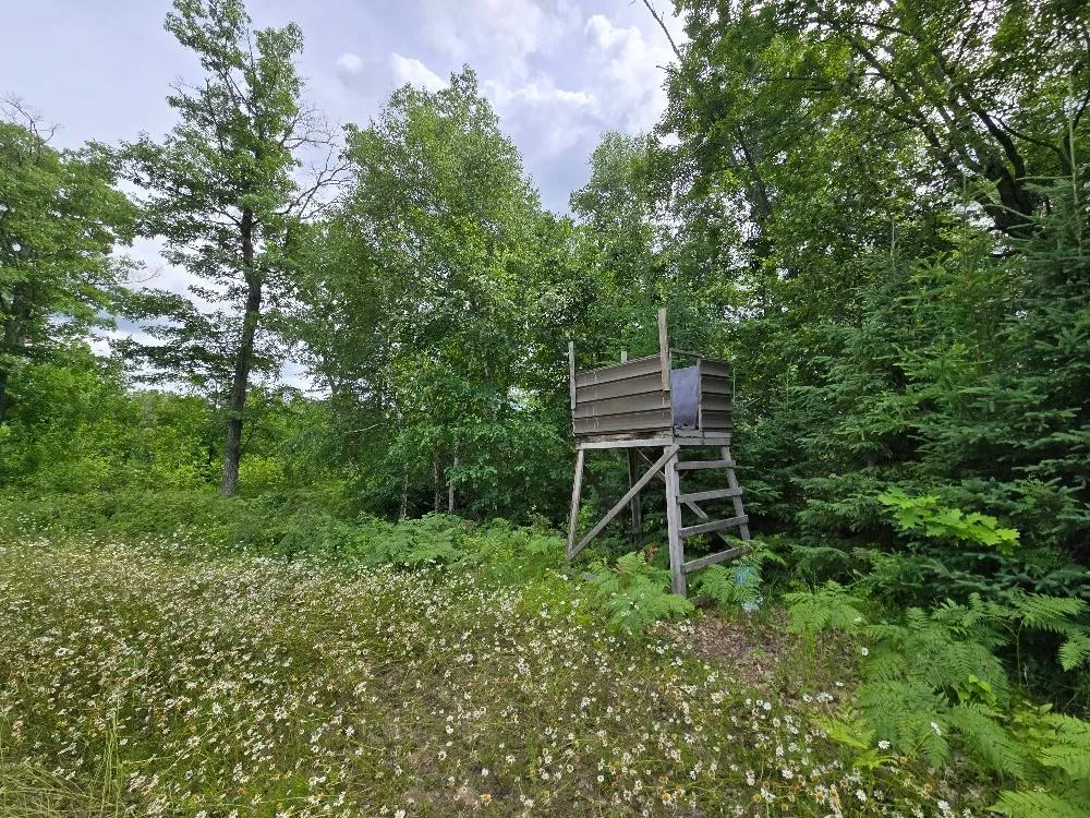 TBD S Little Boy Drive NE Longville, MN 56655