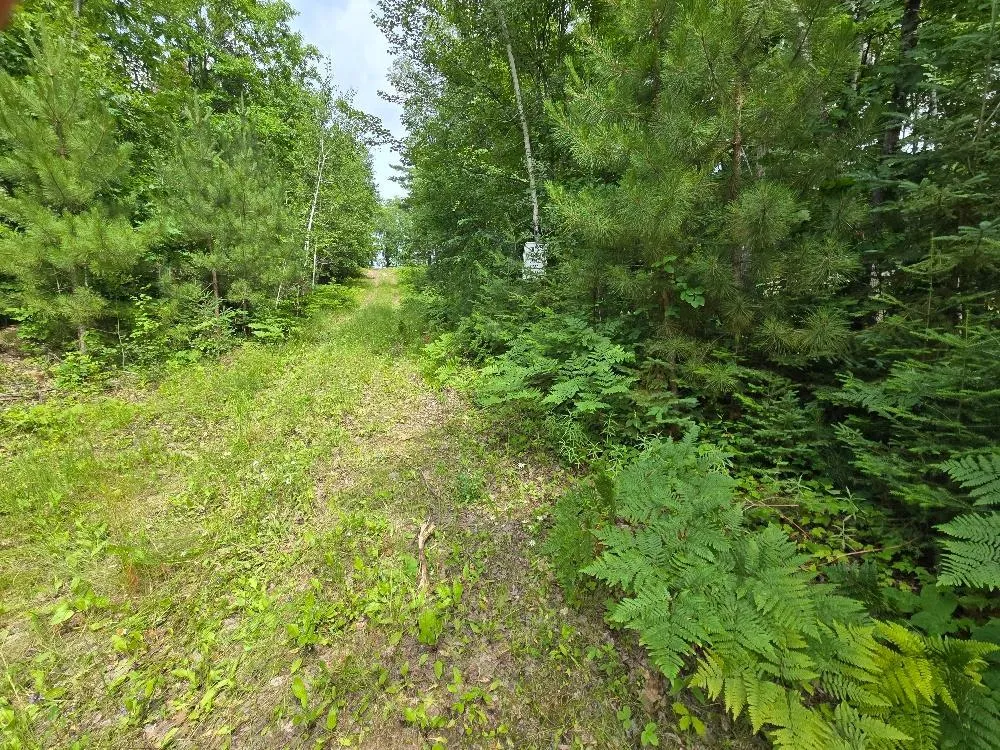 TBD S Little Boy Drive NE Longville, MN 56655