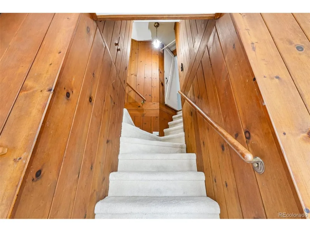 11793 Braun Way Conifer, CO 80433