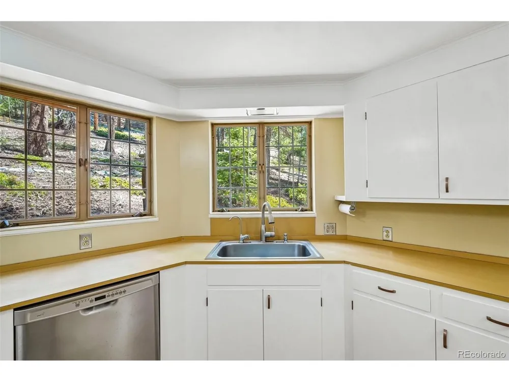 11793 Braun Way Conifer, CO 80433