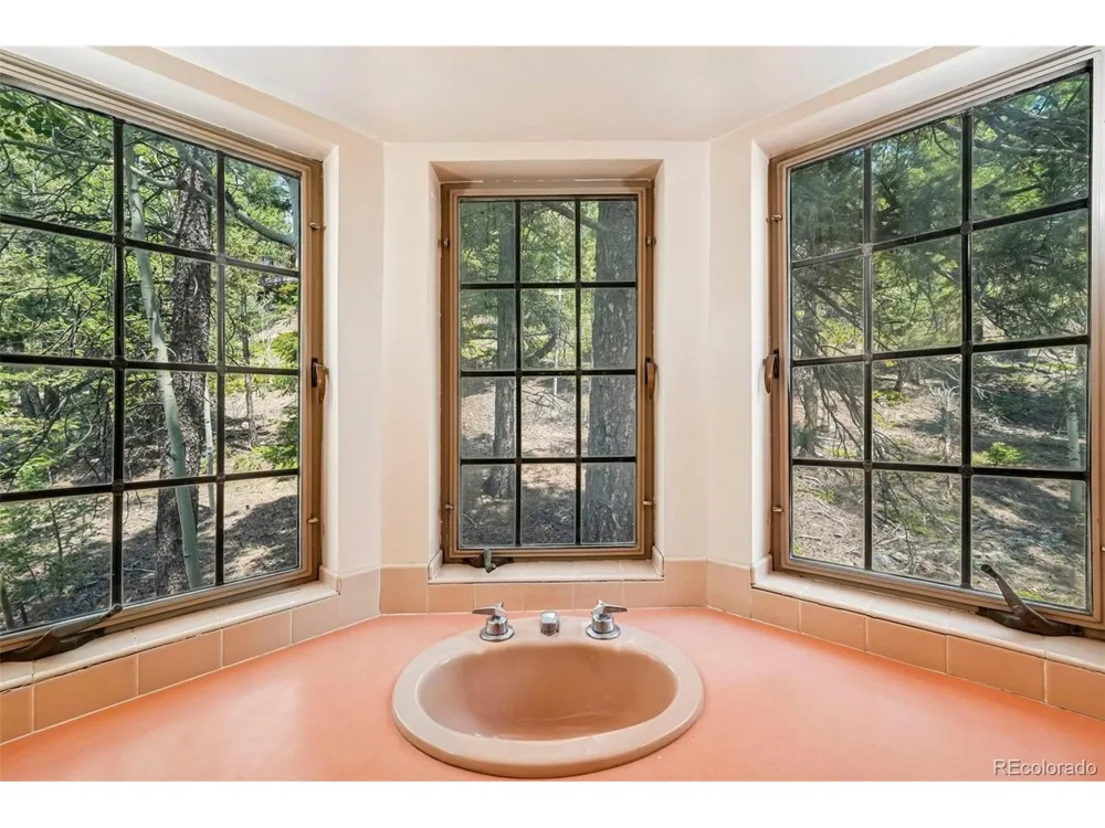 11793 Braun Way Conifer, CO 80433