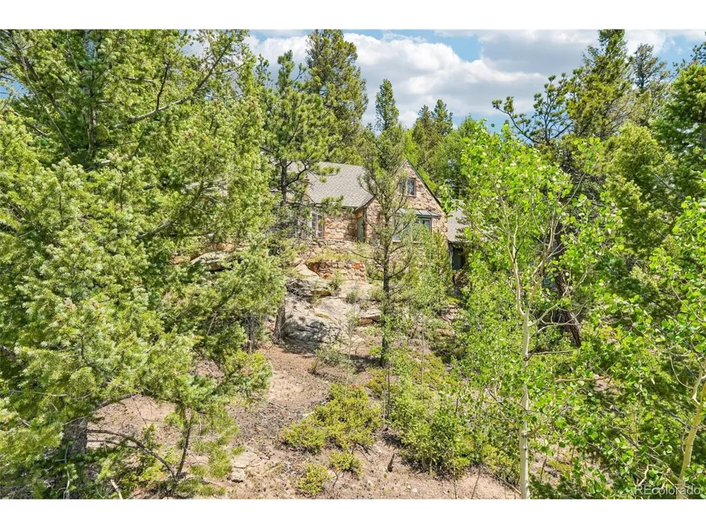 11793 Braun Way Conifer, CO 80433