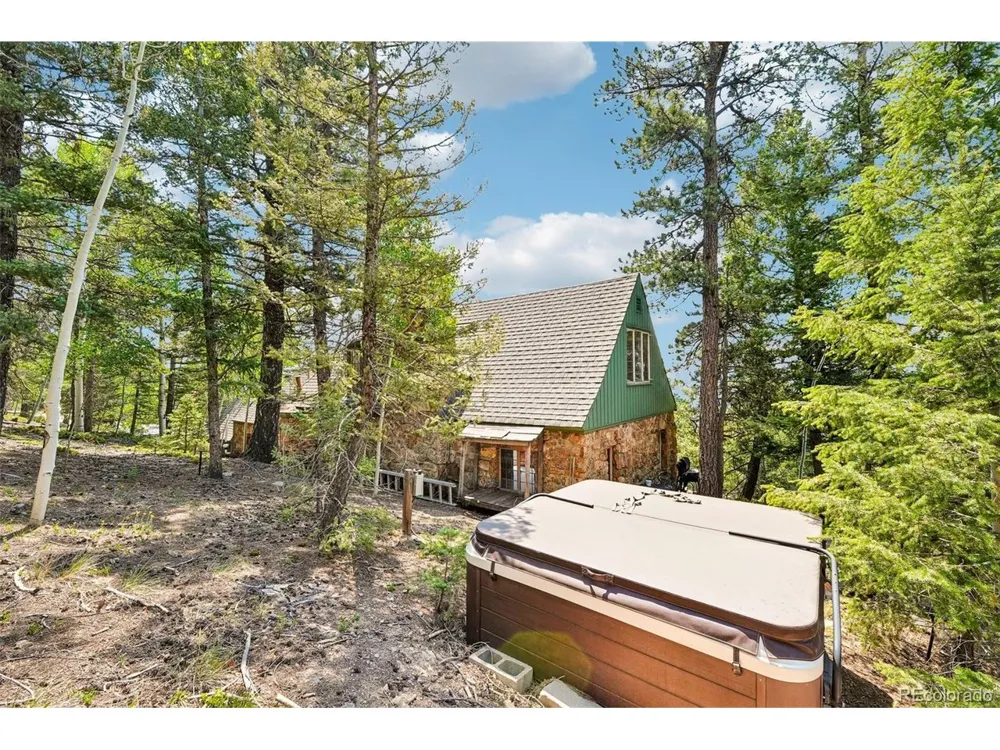 11793 Braun Way Conifer, CO 80433