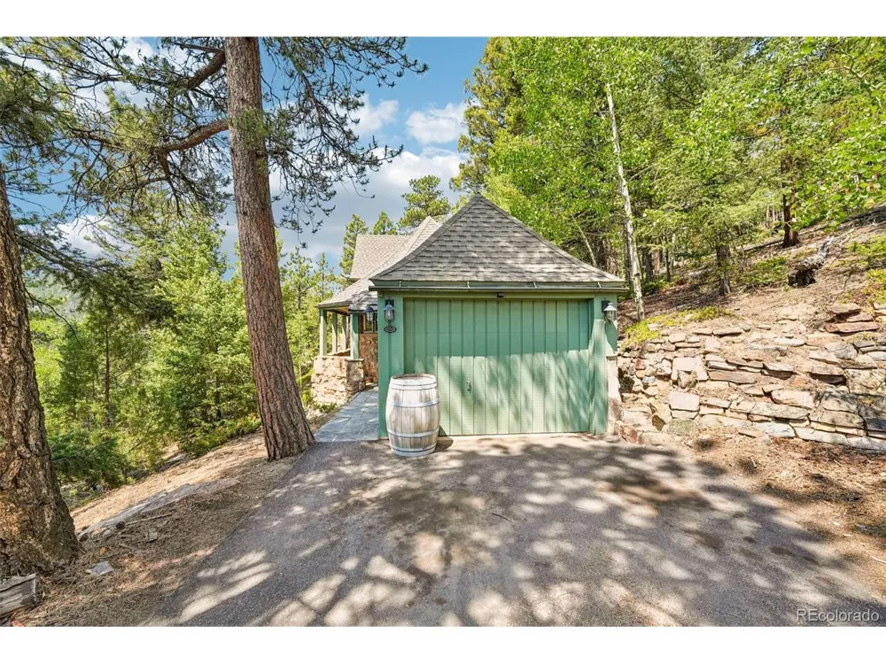 11793 Braun Way Conifer, CO 80433