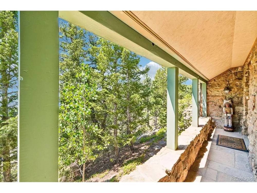 11793 Braun Way Conifer, CO 80433